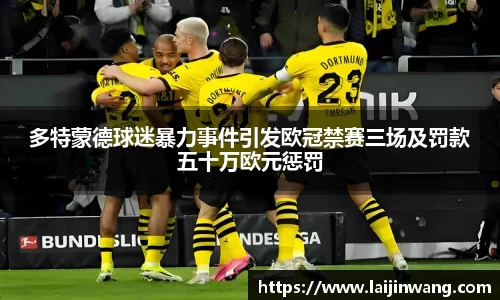多特蒙德球迷暴力事件引发欧冠禁赛三场及罚款五十万欧元惩罚