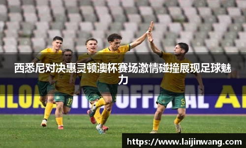 西悉尼对决惠灵顿澳杯赛场激情碰撞展现足球魅力