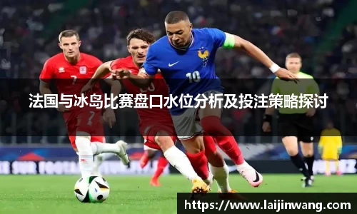 法国与冰岛比赛盘口水位分析及投注策略探讨