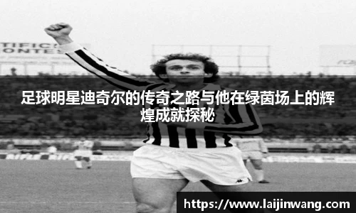 足球明星迪奇尔的传奇之路与他在绿茵场上的辉煌成就探秘