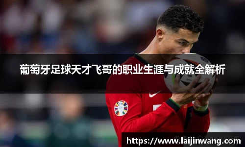 葡萄牙足球天才飞哥的职业生涯与成就全解析